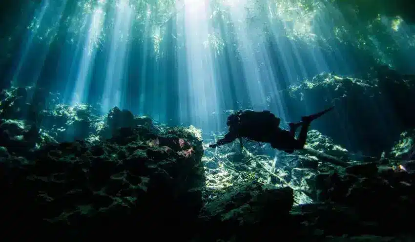 Cenote Diving Eden Ponderosa, captivating cenotes of Eden and TajMaha