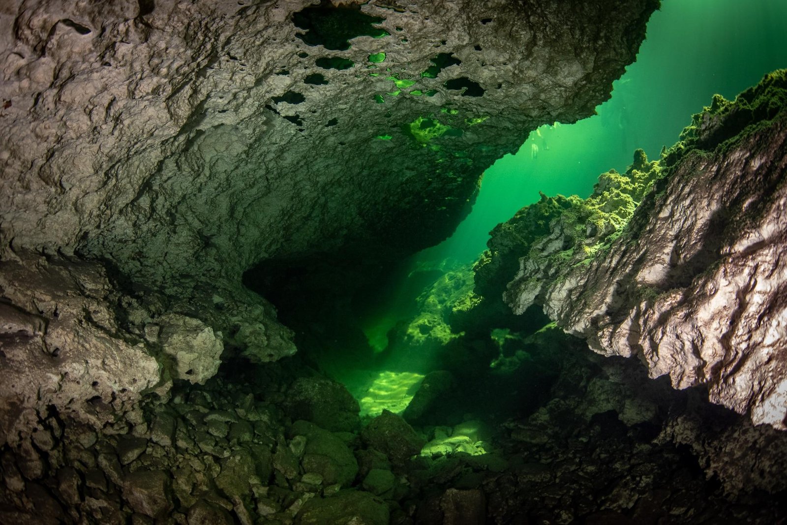 Discover Cenotes