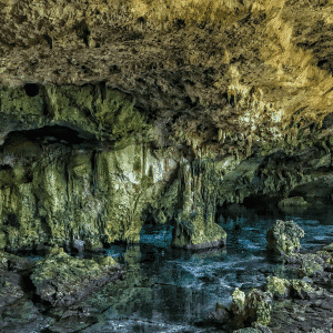 Cenote Dreamsgate Tauchen Cenoten Dos Ojos