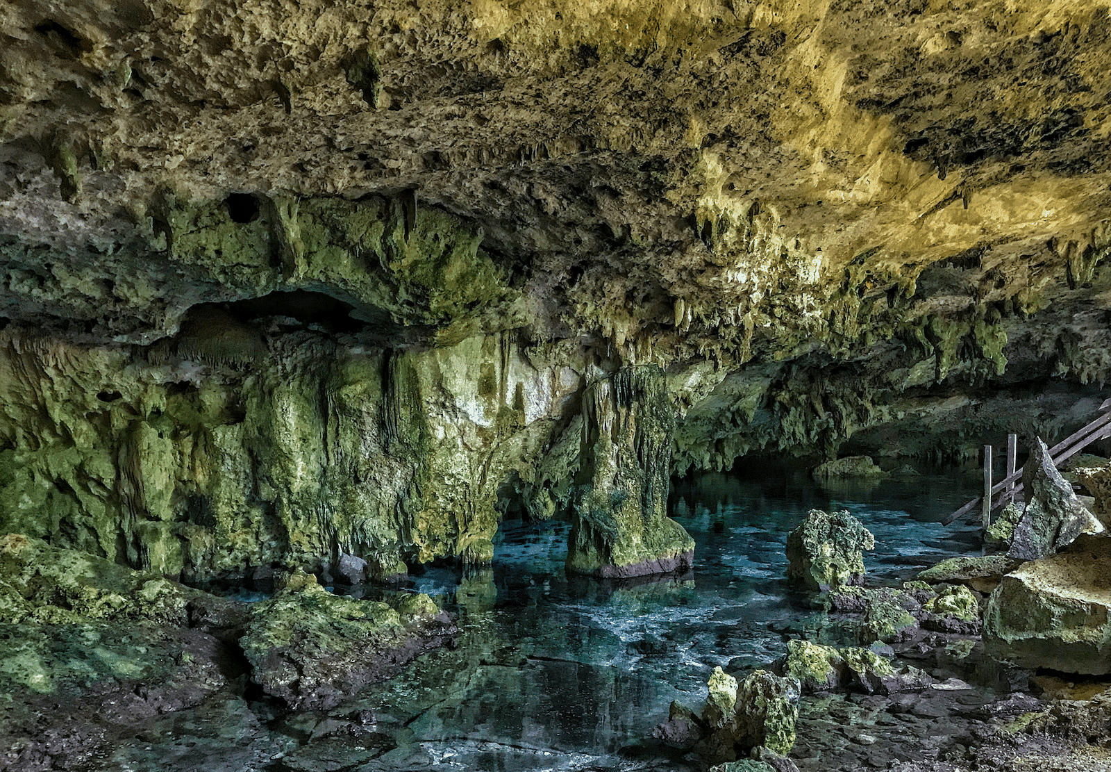 Cenote Dreamsgate Diving Cenotes Dos Ojos