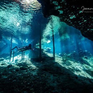 Cenote-Tauchen, Tauchgang in der Cenote DreamsGate